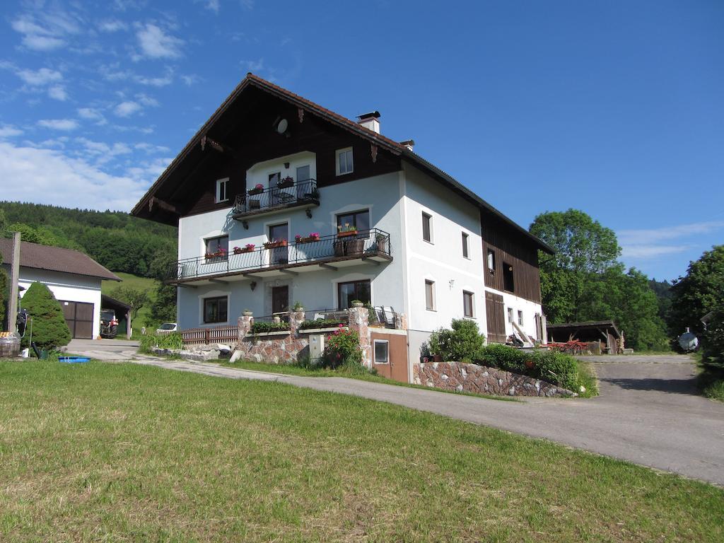 Bauernhof Schink Vila Zell am Moos Exterior foto